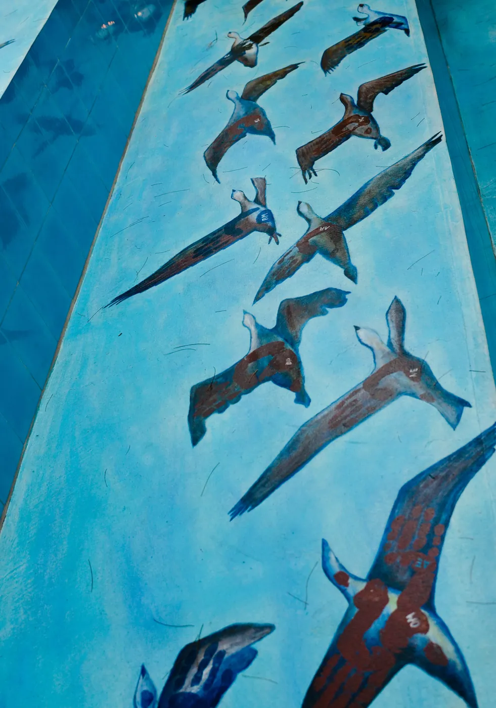 Mural of birds in flight across a pale blue wall.